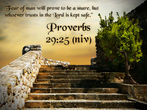 Proverbs 29:25 Bible Verse HD Wallpaper fear no man but trust is GOD ...