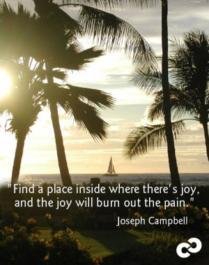 ... joy and the joy will burn out the pain. - -Joseph Campbell Visit www