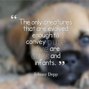 Dog quotes I love! The only creatures that are evolved enough to ...