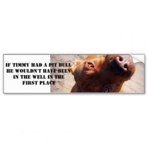 If Timmy had a pit bull Bumper Stickers