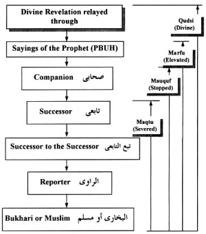need an explanation about a Hadith about: The Hur of Jannah