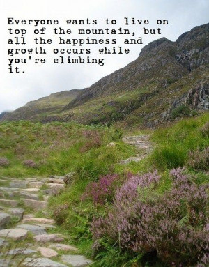 ... , but all the happiness and growth occurs while you're climbing it