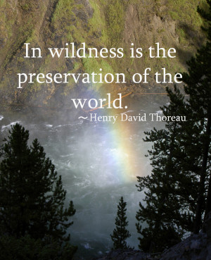 ... The Preservation Of The World. - Henry David Thoreau ~ Camping Quotes