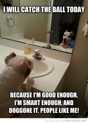 self motivation dog animal mirror will catch ball funny pics pictures ...