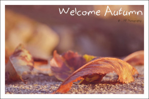 Welcome Autumn Welcome autumn