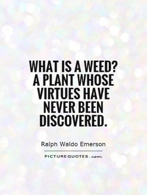 ... weed? A plant whose virtues have never been discovered Picture Quote