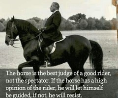 equestrian quotes