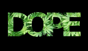 dope weed - Google Search