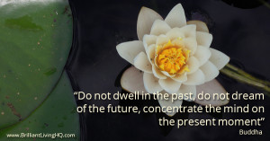 The real meditation practice is how we live our lives from moment to ...