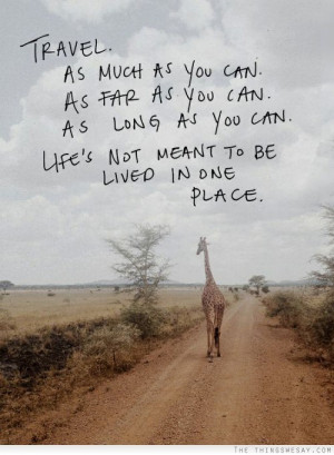 ... tags for this image include: travel, life, giraffe, quote and quotes