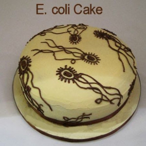 Birthday Cake for A Microbiology LoverE Colie, Microbiology Cake ...