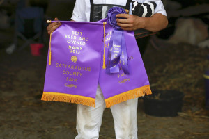 Logan Martin poses with his awards in the 4-H Dairy Showmanship ...