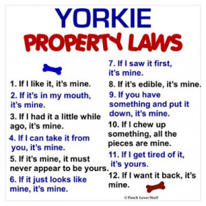 CafePress > Wall Art > Posters > Yorkie Property Laws Poster