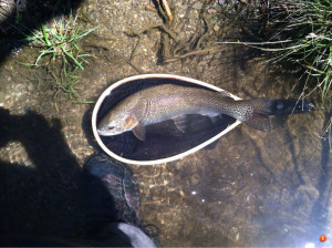 Here's a few that were worthy of photos.