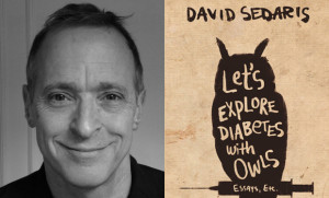 11 David Sedaris Quotes That Will Change Your Life