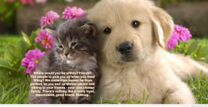 tag archives friendship quote nice nice friendship quote with animals