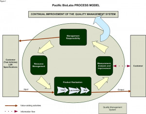Continuous Process Improvement Management System