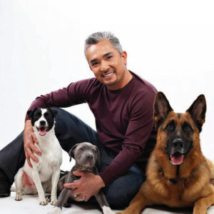 For more informations about this news, just go to this Cesar Millan ...