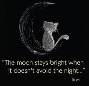 the moon stays bright Rumi Picture Quote