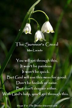 ... Quotes By Max Lucado, Max Lucado Survivor Creed, Flowers Wild, Flowers