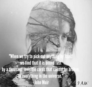 John Muir quotes