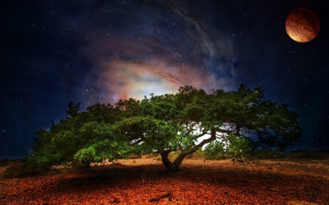 Un design créatif, arbre planète Galaxy Fonds d'écran - 1920x1200