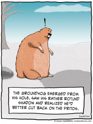 Stupid Groundhog