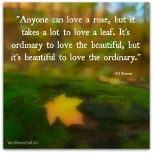 love leaves!!!