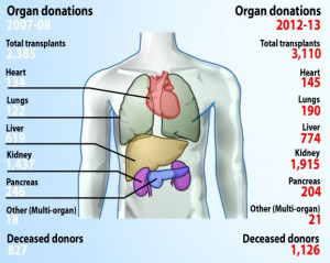 ... and taking: The number of organs being donated is at an all time high