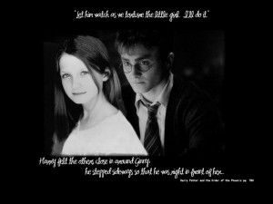 Harry Potter Harry & Ginny