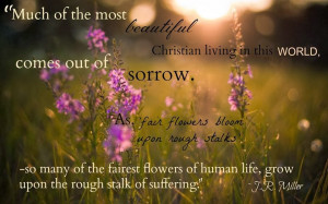 Miller Quotes on Suffering