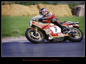 Barry Sheene Tribute Suzuki