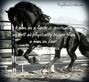 Inspirational Horse Quotes and Sayings