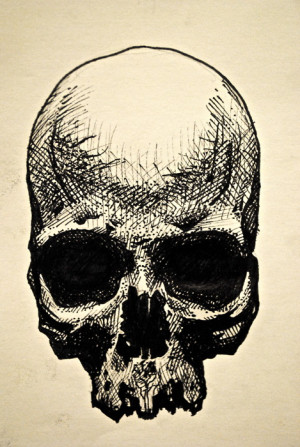 skull” drawing / micron pen on paper