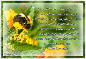 Quotes About Bees And Flowers http://clicksypics.com/2012/10/the ...