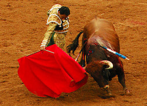 Bull Fighting In Mexico