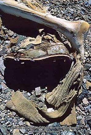 ... the ascent of Everest with Mallory, and perished in the same storm