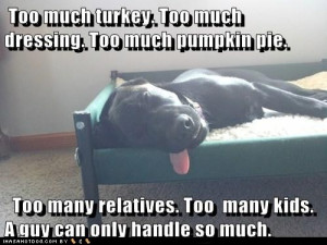 funny-dog-pictures-too-much-turkey-too-much-dressing-too-much-pumpkin ...
