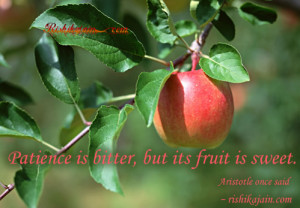 These are the inspirational fruit quotes regularly use the loss ...