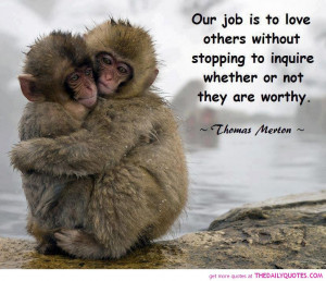 thomas-merton-quotes-love-quote-sayings-pictures-cute-monkeys-cuddling ...
