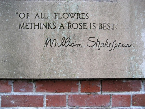25+ Marvelous William Shakespeare Quotes