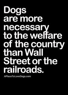 Dogs Are More Necessary To The Welfare Of The Country Than Wall Street ...