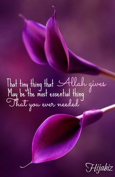 hijabiz: That tiny thing that Allah gives you Sometimes is just the ...