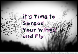 its_time_to_spread_your_wings_and_fly-639135.jpg?i