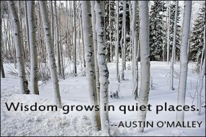 Wisdom grows in quiet places. -- Austin O'Malley