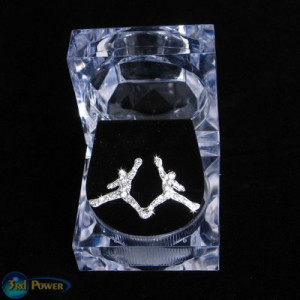 REAL Jordan Earrings?