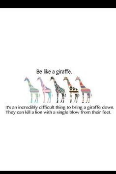 Giraffe quote ♥ More