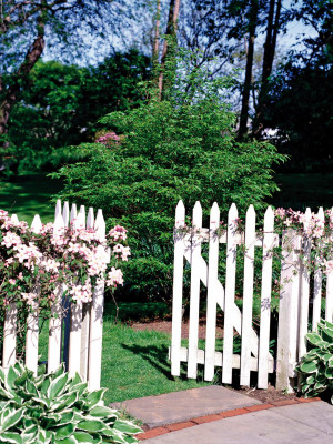 picket fence when closed this picket gate blends in with the rest of