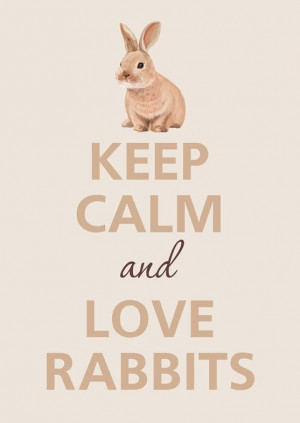 Keep Calm & Love Rabbits #keepcalmandloverabbits www.gmichaelsalon.com ...