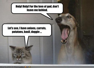 Plans Funny #1 Plans Funny #2 Plans Funny #3 Plans Funny #4 Plans ...